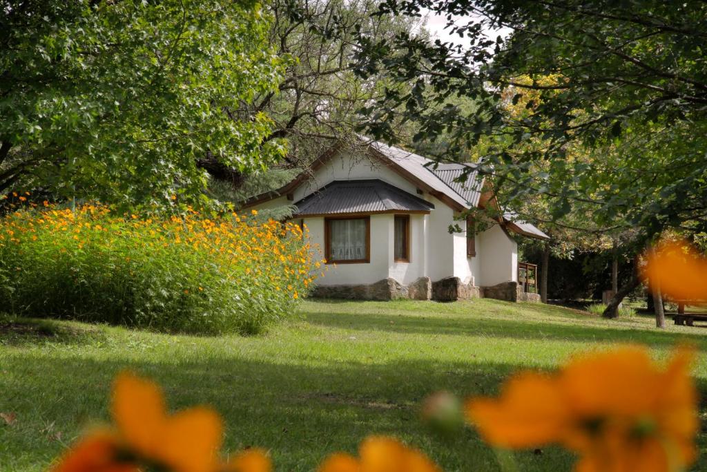 Cabañas Am Bach