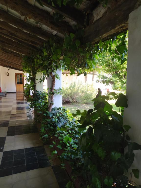 Hotel del Alto